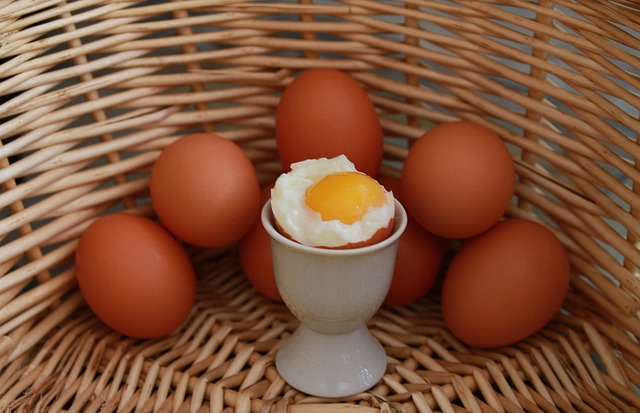 Egg Basket Soft Boiled Egg