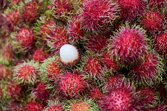 Rambutan Tropical Fruits