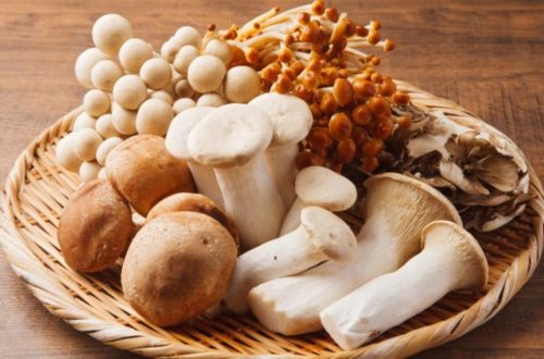 Nutritional Profile of Mushrooms